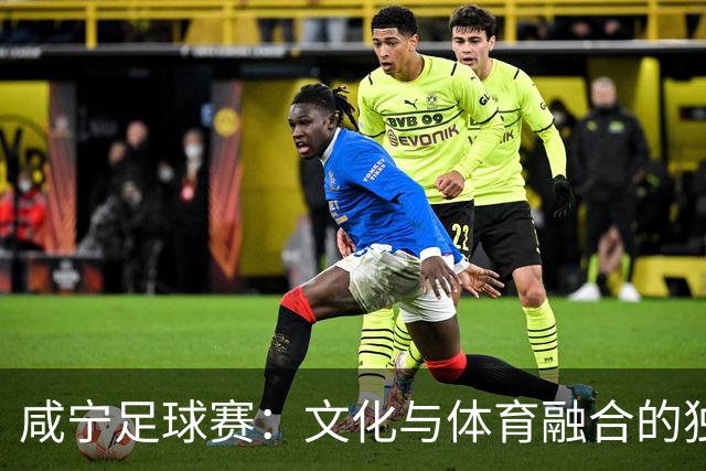 咸宁足球赛：文化与体育融合的独特盛况